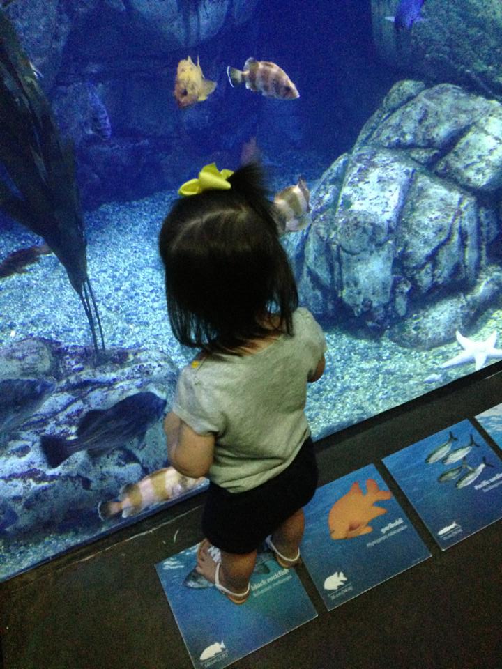 1002832_682708541742785_441352923_n 1002832_682708541742785_441352923_n