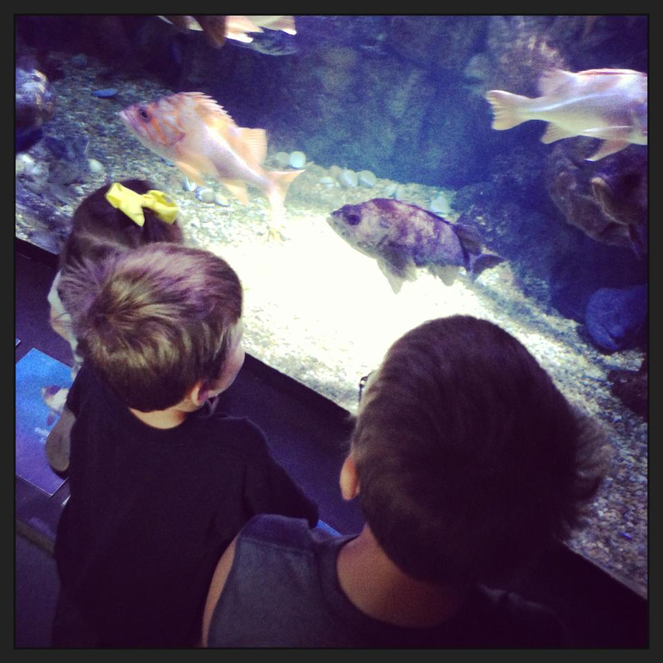 1010850_682708358409470_232732633_n 1010850_682708358409470_232732633_n