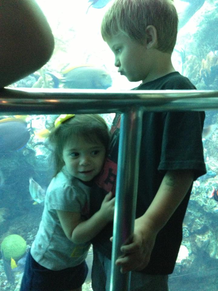 1012020_682708421742797_1090176204_n 1012020_682708421742797_1090176204_n