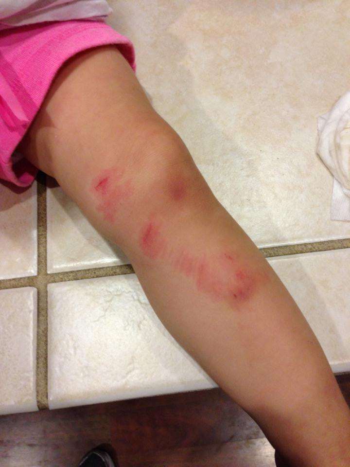 1094821_701894086490897_201328877_n 1094821_701894086490897_201328877_n