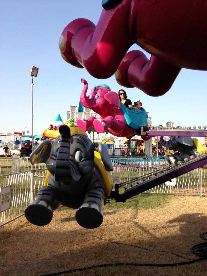 1235137_719918101355162_1725411283_n 1235137_719918101355162_1725411283_n