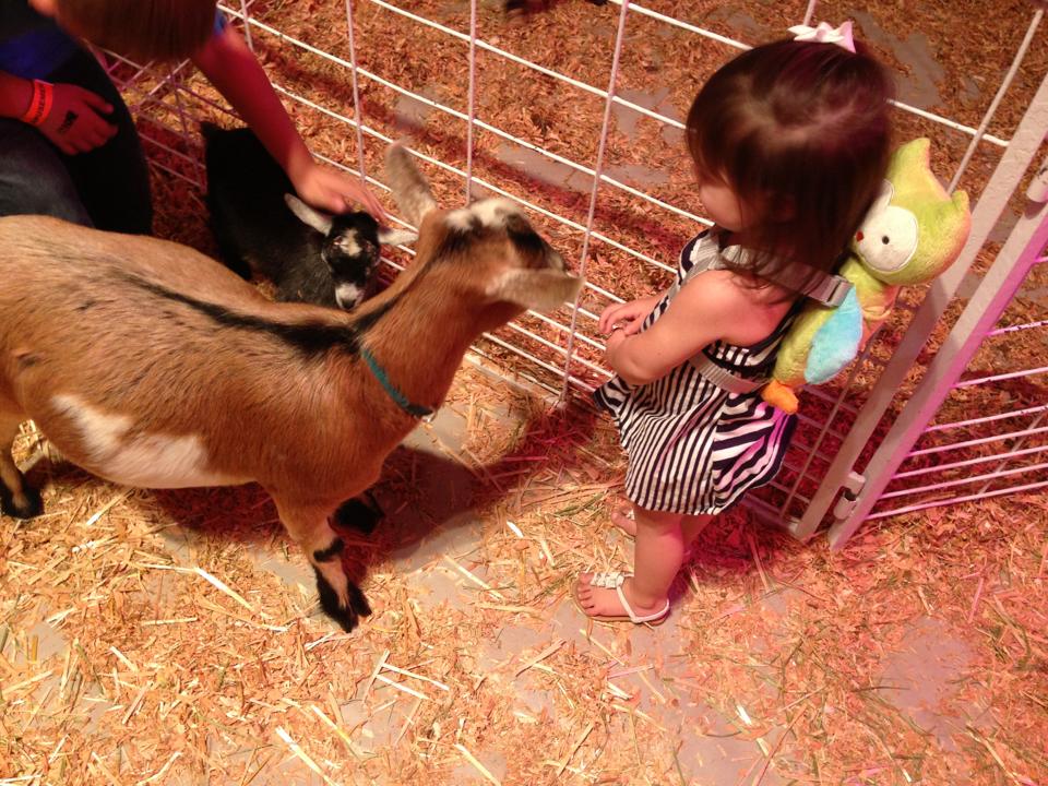 1238917_719977334682572_583168769_n 1238917_719977334682572_583168769_n