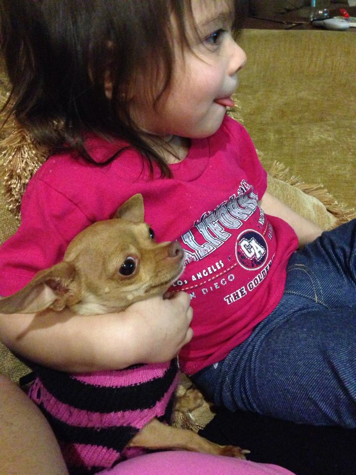 1393537_748323235181315_1416383156_n 1393537_748323235181315_1416383156_n