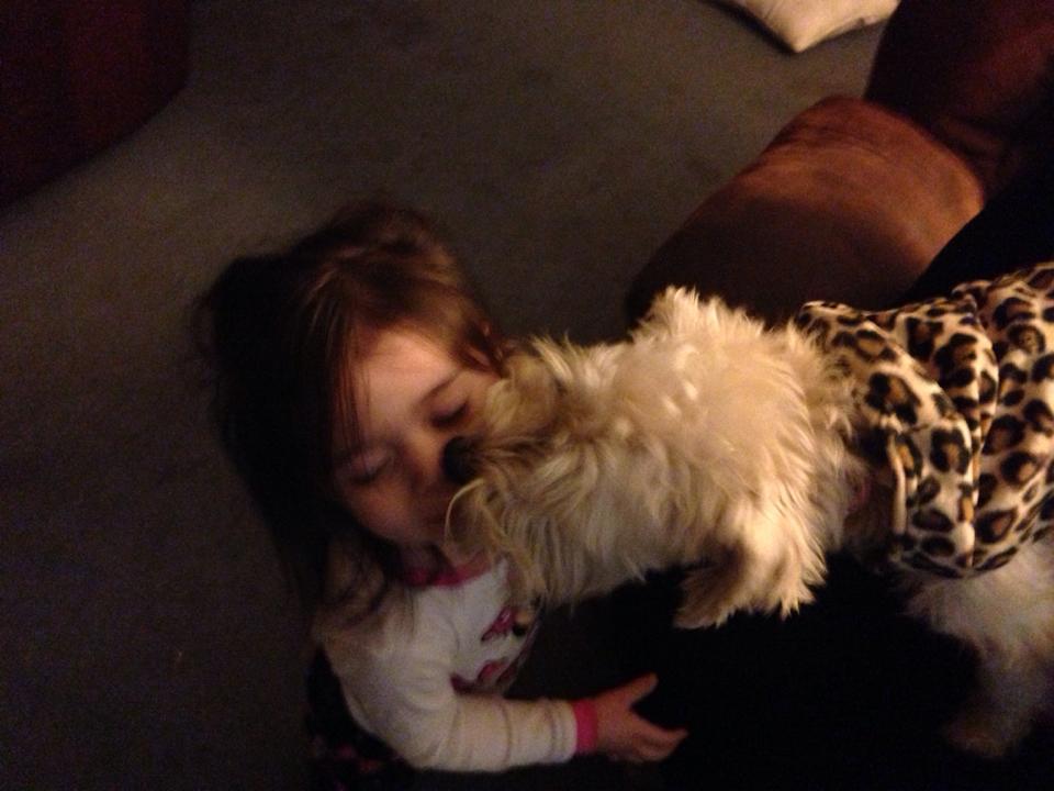 1470343_762867133726925_1306178415_n 1470343_762867133726925_1306178415_n