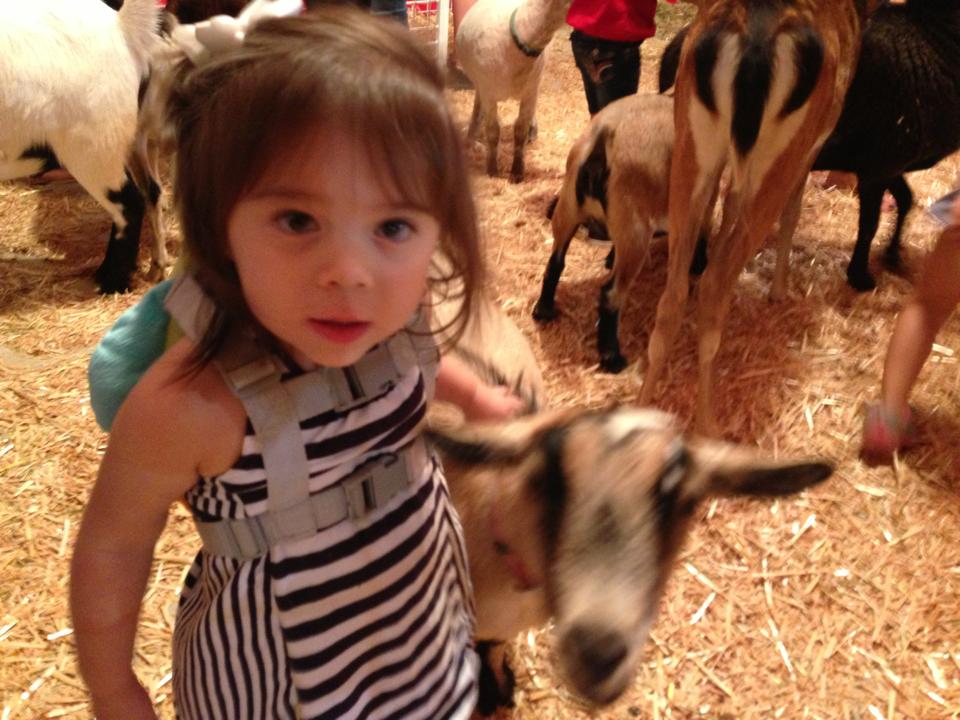 65009_719977631349209_1599742687_n 65009_719977631349209_1599742687_n